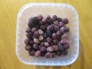 mutant mulberries